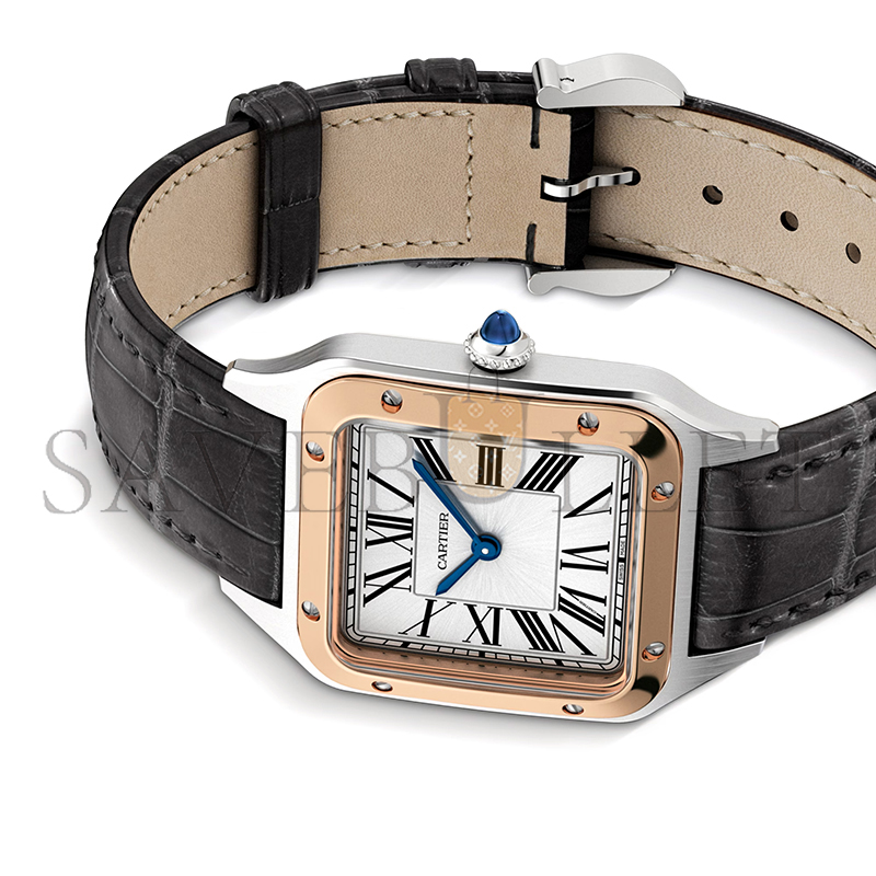 CARTIER SANTOS-DUMONT WATCH 38MM W2SA0012